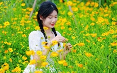 草莓app在线观看安装无限看-丝瓜ios免费